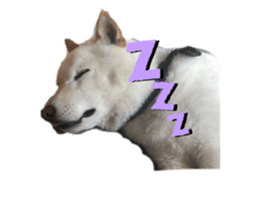 323202154