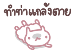 323254491