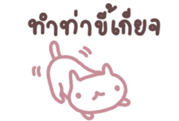 323254506