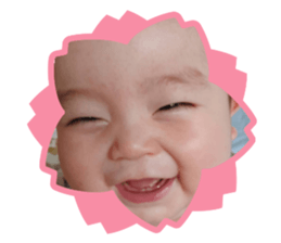 323394137