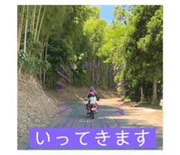 323397046