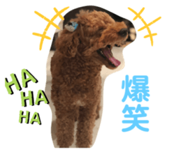 323406805