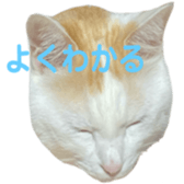 323435584