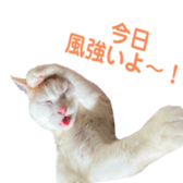 323435591