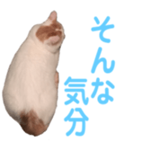 323435598