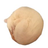 323435600