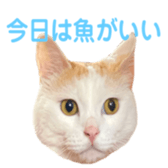 323435602
