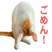 323435603