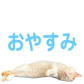 323435604