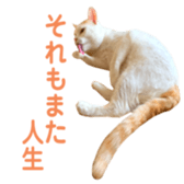 323435605