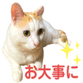 323435607