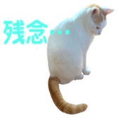 323435610