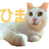 323435618