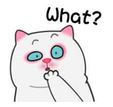323436407