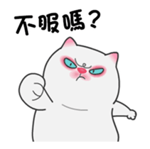 323436409