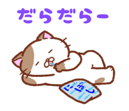 323442800