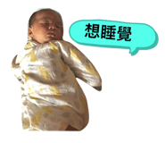 323462670