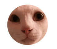 323500883
