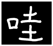 32350202
