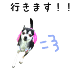 32353909