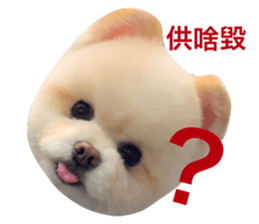 323556010