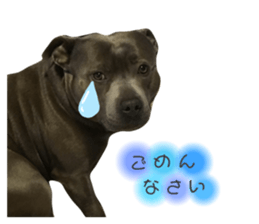 323559208