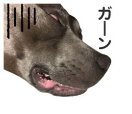 323559219