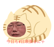 323563981
