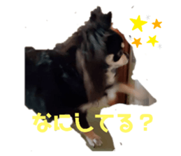 323629890