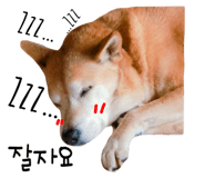 32363625