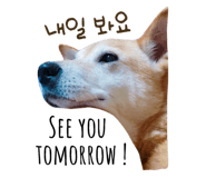 32363626