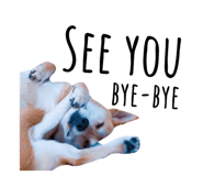 32363627