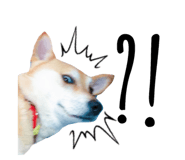 32363631