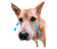 32363635