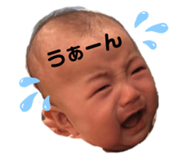 323678343