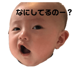 323678353