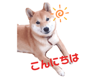 323679288