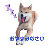 323679290