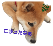 323679292