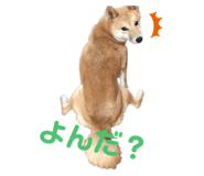 323679296