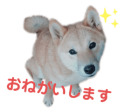 323679298
