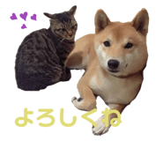 323679301