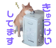 323679303