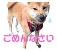 323679305