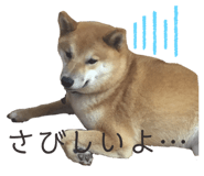 323679309