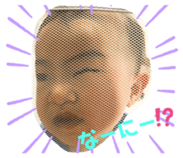323690185