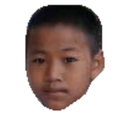 32378891