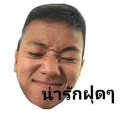 32378894