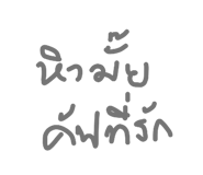 32384353