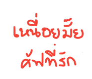 32384354